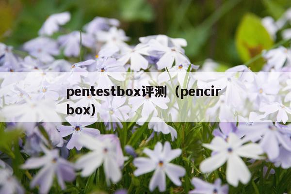 pentestbox评测（pencir box）