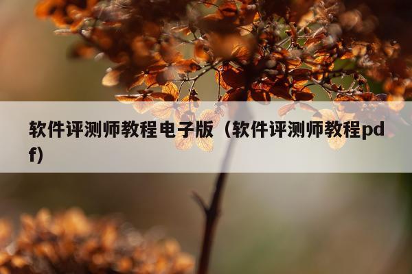 软件评测师教程电子版（软件评测师教程pdf）
