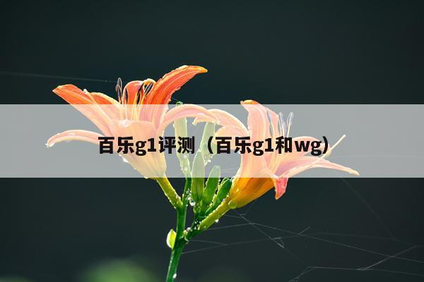 百乐g1评测（百乐g1和wg）