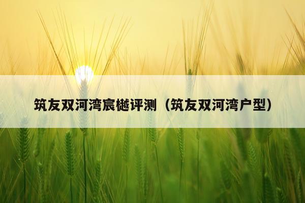 筑友双河湾宸樾评测（筑友双河湾户型）