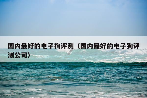 国内最好的电子狗评测（国内最好的电子狗评测公司）