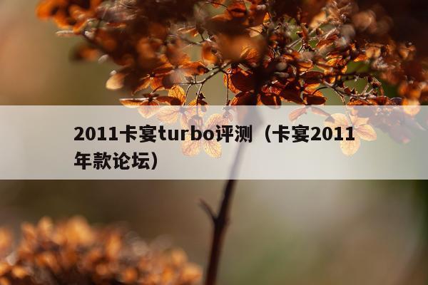 2011卡宴turbo评测（卡宴2011年款论坛）