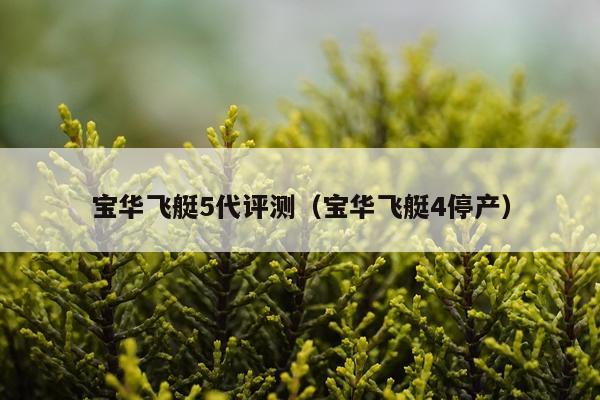 宝华飞艇5代评测（宝华飞艇4停产）
