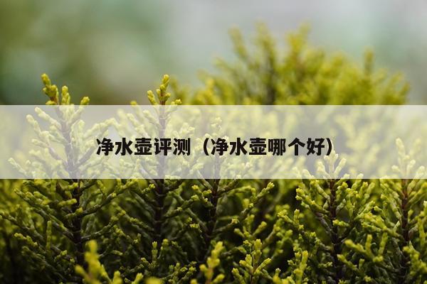 净水壶评测（净水壶哪个好）