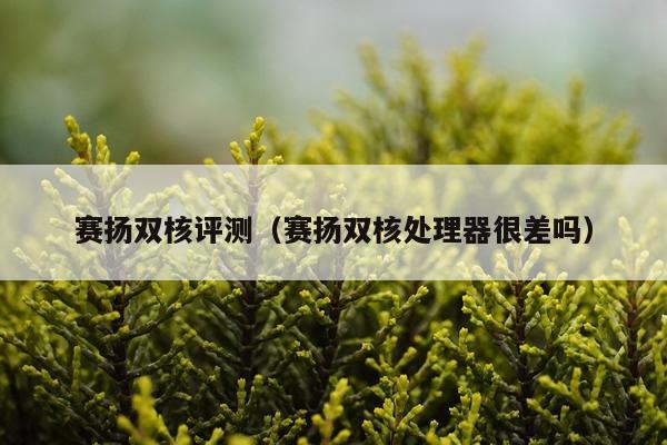 赛扬双核评测（赛扬双核处理器很差吗）