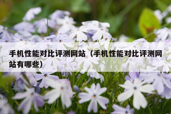 手机性能对比评测网站（手机性能对比评测网站有哪些）