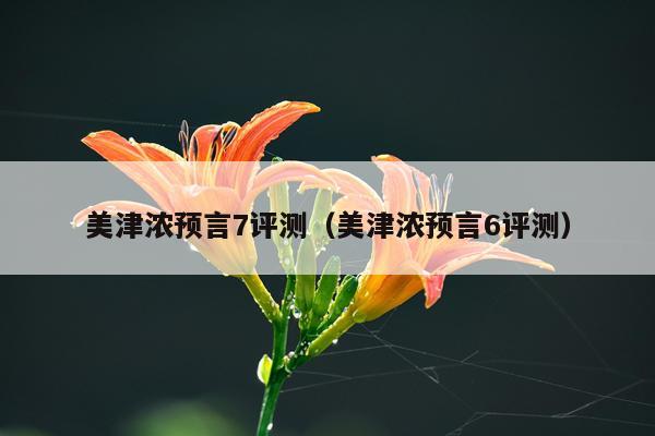 美津浓预言7评测（美津浓预言6评测）