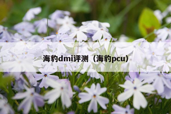 海豹dmi评测（海豹pcu）