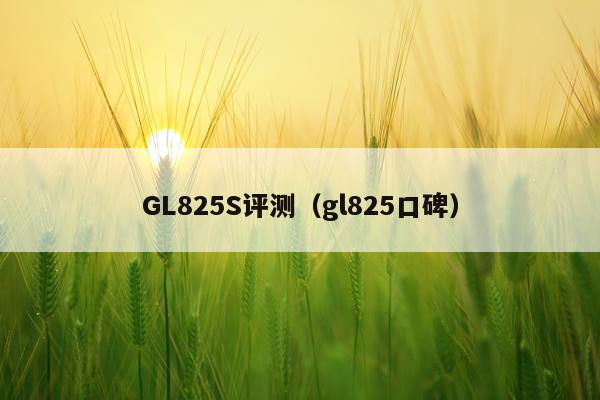 GL825S评测（gl825口碑）
