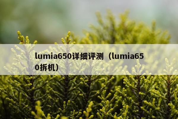 lumia650详细评测（lumia650拆机）