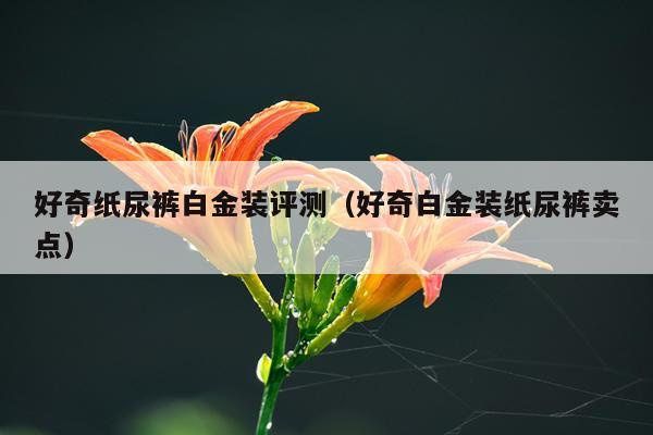 好奇纸尿裤白金装评测（好奇白金装纸尿裤卖点）