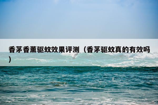 香茅香薰驱蚊效果评测（香茅驱蚊真的有效吗）