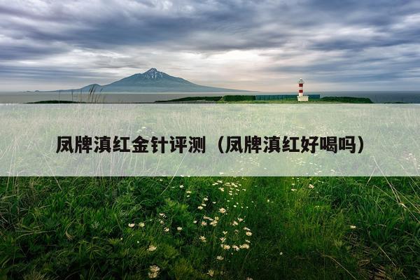凤牌滇红金针评测（凤牌滇红好喝吗）