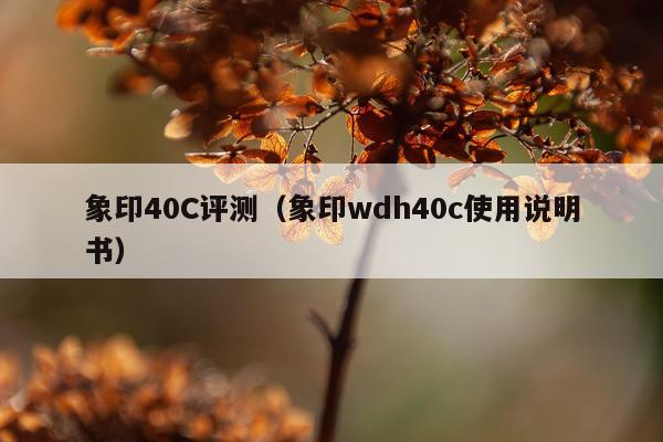 象印40C评测（象印wdh40c使用说明书）