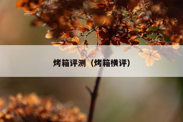 烤箱评测（烤箱横评）