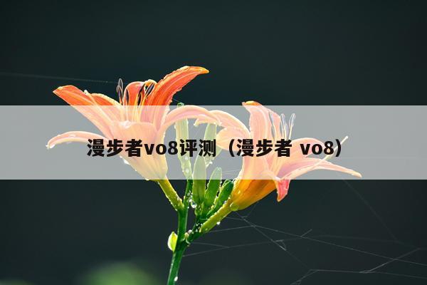 漫步者vo8评测（漫步者 vo8）