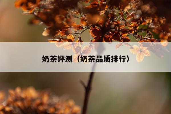 奶茶评测（奶茶品质排行）