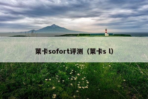莱卡sofort评测（莱卡s l）