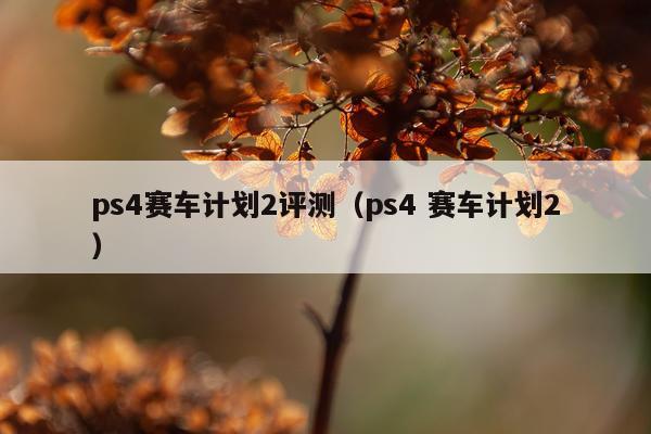 ps4赛车计划2评测（ps4 赛车计划2）