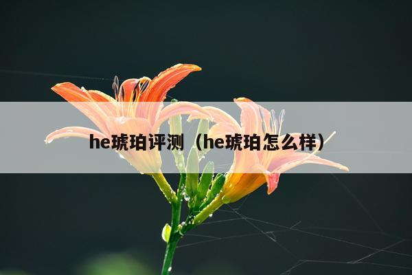 he琥珀评测（he琥珀怎么样）