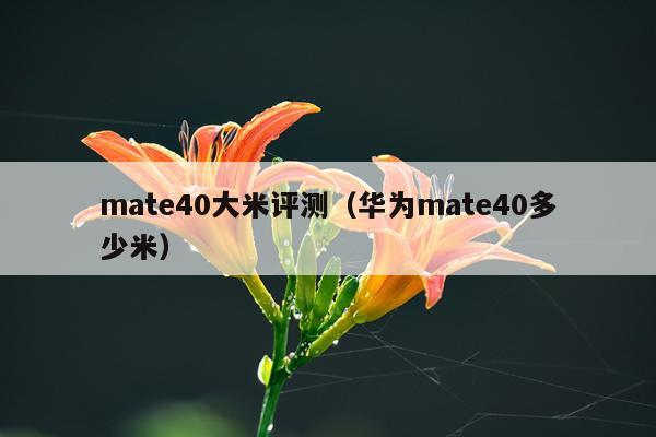 mate40大米评测（华为mate40多少米）