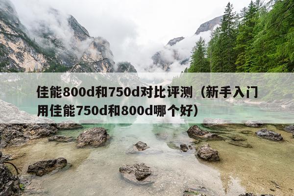 佳能800d和750d对比评测（新手入门用佳能750d和800d哪个好）