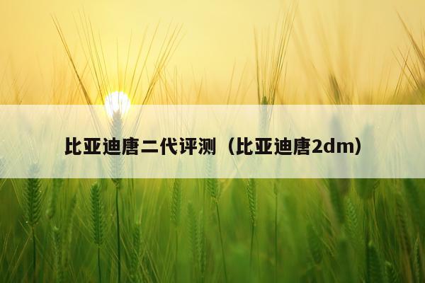 比亚迪唐二代评测（比亚迪唐2dm）