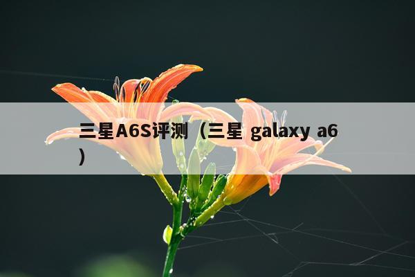 三星A6S评测（三星 galaxy a6）