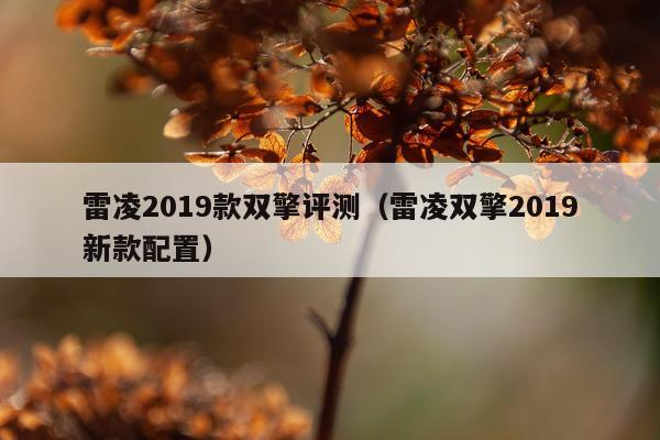 雷凌2019款双擎评测（雷凌双擎2019新款配置）