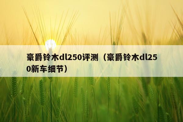 豪爵铃木dl250评测（豪爵铃木dl250新车细节）