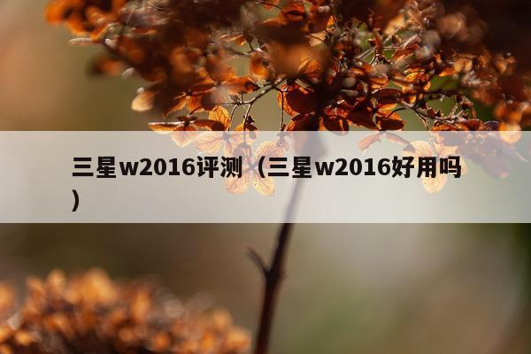 三星w2016评测（三星w2016好用吗）