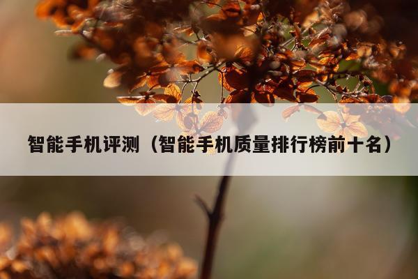 智能手机评测（智能手机质量排行榜前十名）
