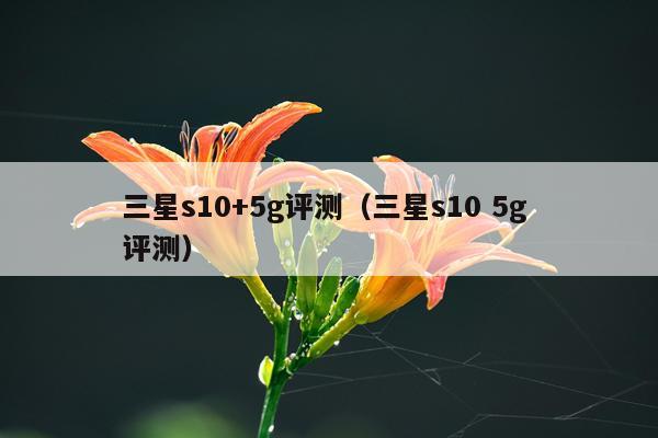 三星s10+5g评测（三星s10 5g 评测）