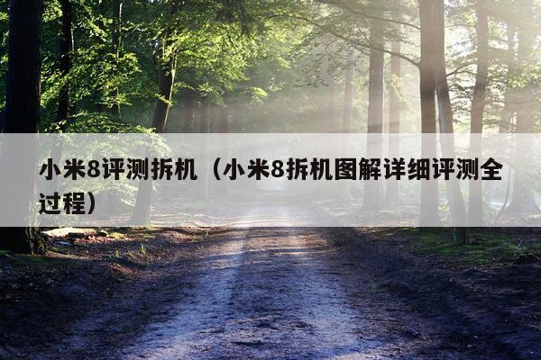 小米8评测拆机（小米8拆机图解详细评测全过程）