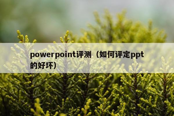 powerpoint评测（如何评定ppt的好坏）