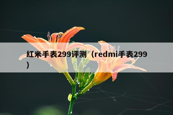 红米手表299评测（redmi手表299）
