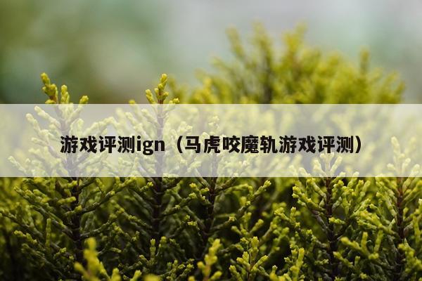 游戏评测ign（马虎咬魔轨游戏评测）