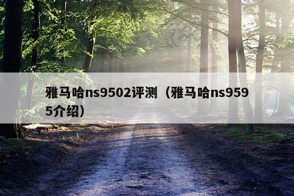 雅马哈ns9502评测（雅马哈ns9595介绍）