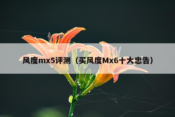 风度mx5评测（买风度Mx6十大忠告）