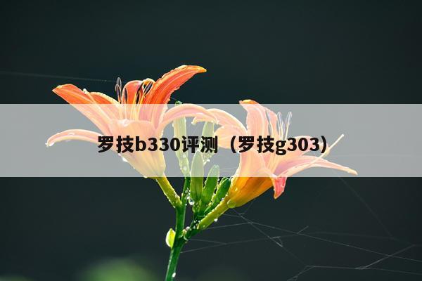 罗技b330评测（罗技g303）