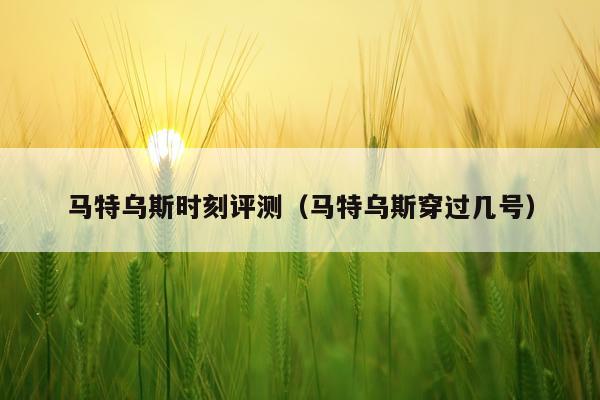 马特乌斯时刻评测（马特乌斯穿过几号）