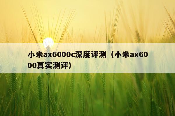 小米ax6000c深度评测(小米ax6000真实测评)