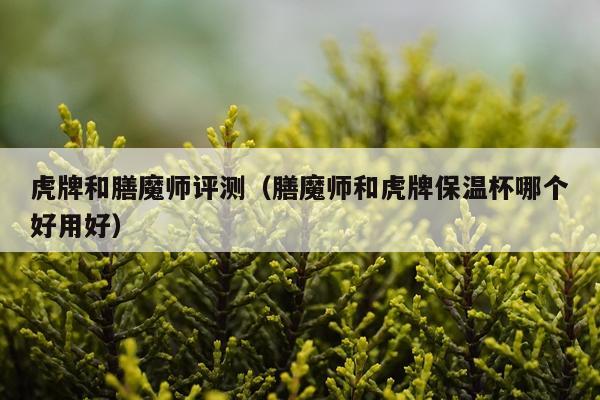 虎牌和膳魔师评测（膳魔师和虎牌保温杯哪个好用好）
