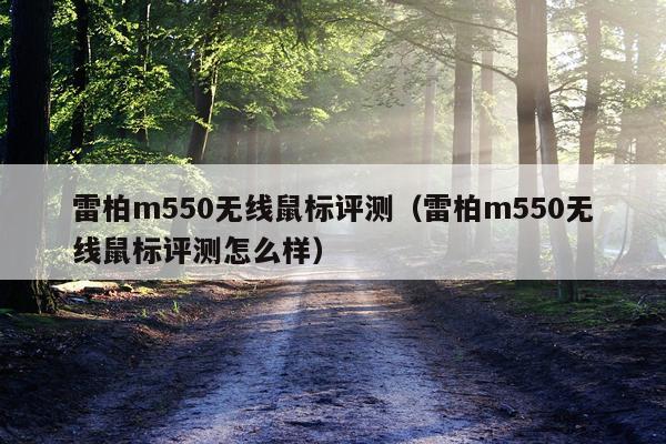 雷柏m550无线鼠标评测（雷柏m550无线鼠标评测怎么样）