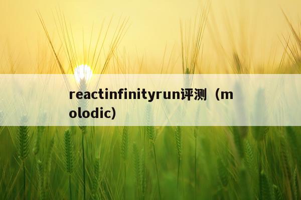 reactinfinityrun评测（molodic）