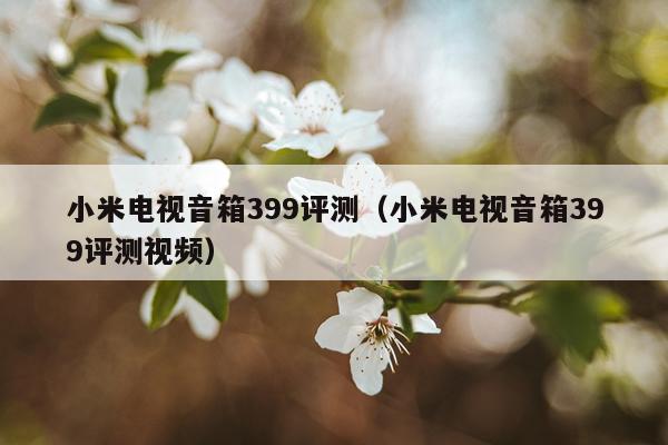小米电视音箱399评测（小米电视音箱399评测视频）