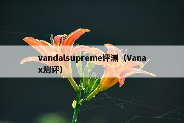 vandalsupreme评测（Vanax测评）