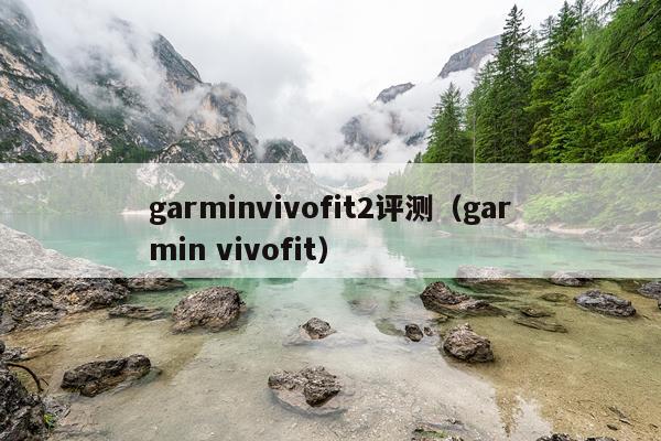 garminvivofit2评测（garmin vivofit）