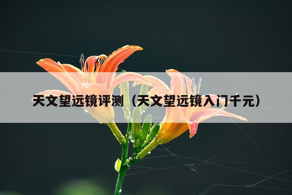 天文望远镜评测（天文望远镜入门千元）