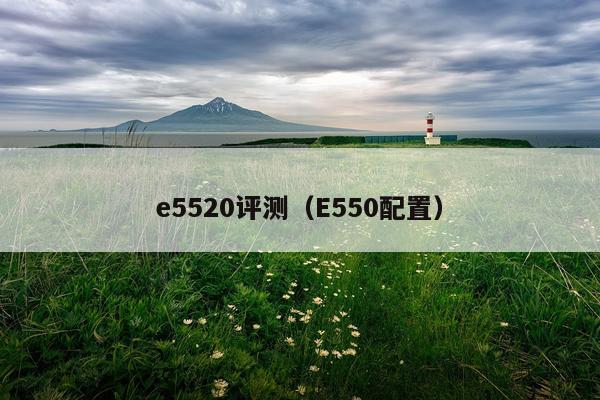 e5520评测（E550配置）
